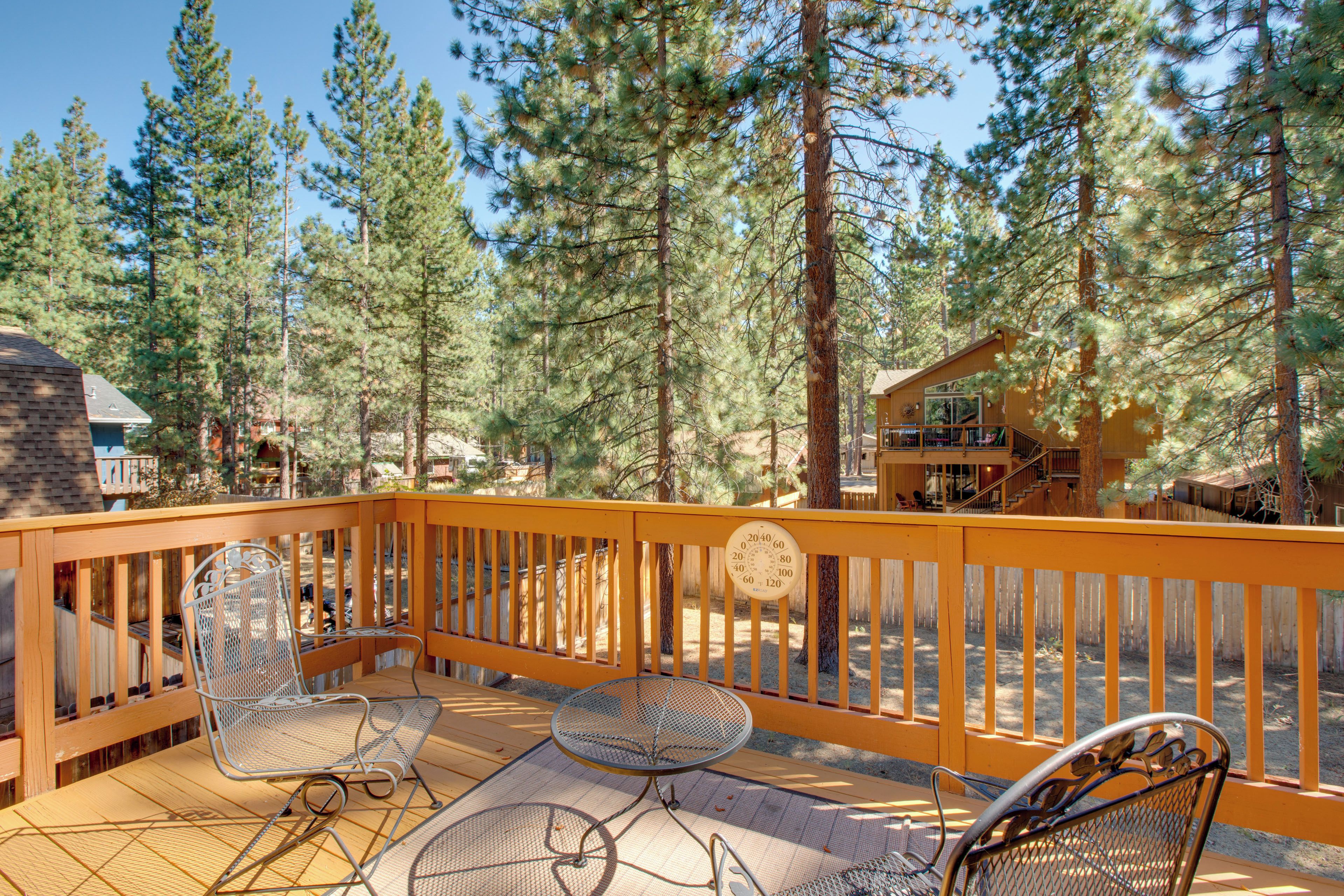 A wooden deck with outdoor furniture, surrounded by tall pine trees.