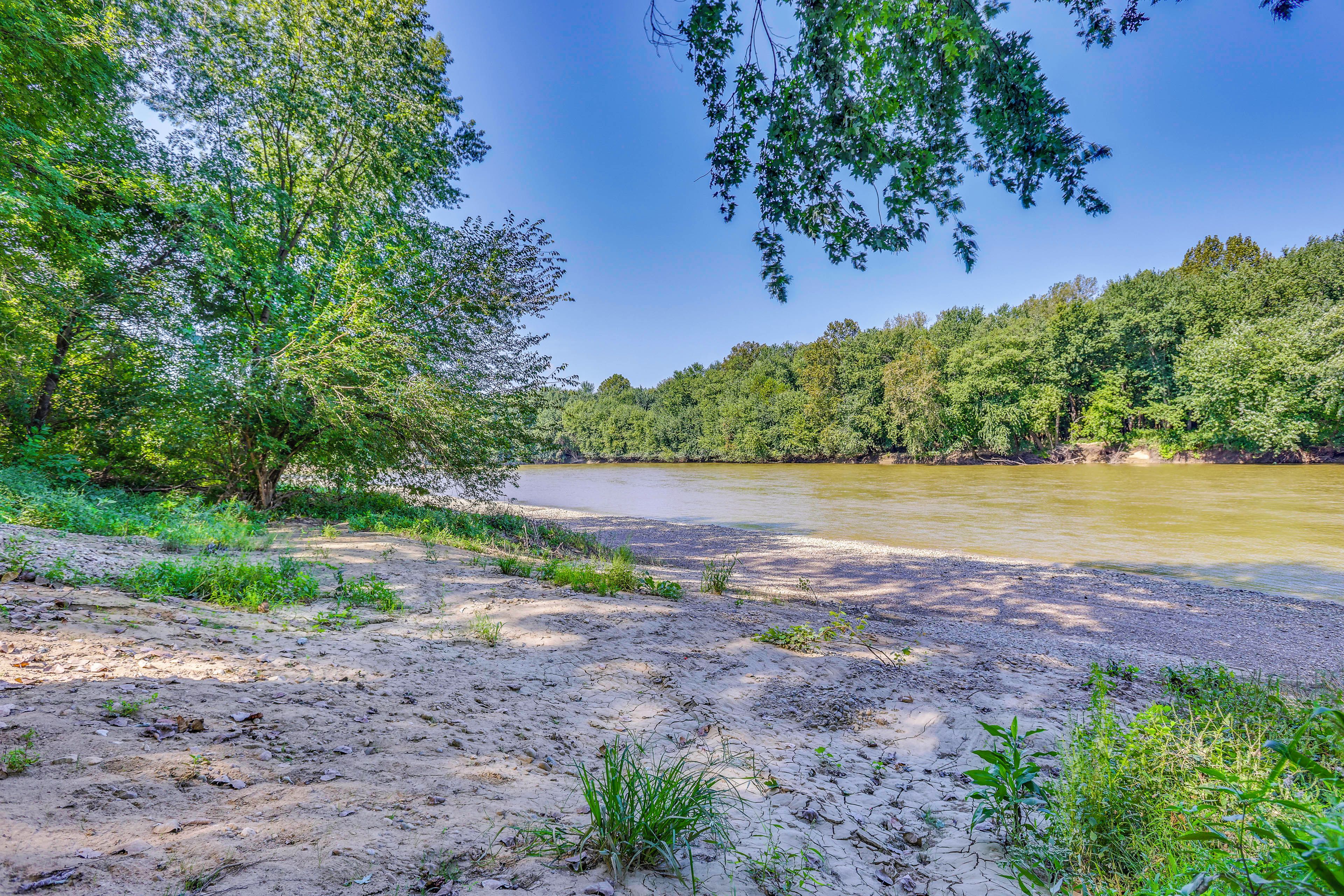 A riverbank with a sandy path and dense greenery.