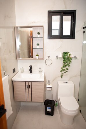 Ein Badezimmer mit einem weißen Waschbecken, Spiegel, Toilette und einer kleinen Topfpflanze an der Wand.