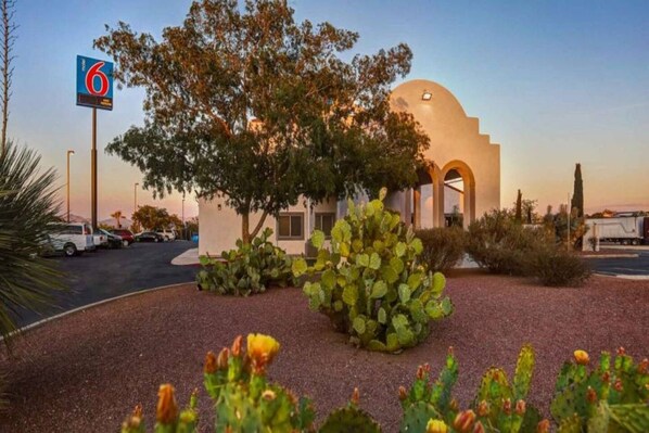 A building with a dome and arched entrance, surrounded by a parking lot and desert vegetation.