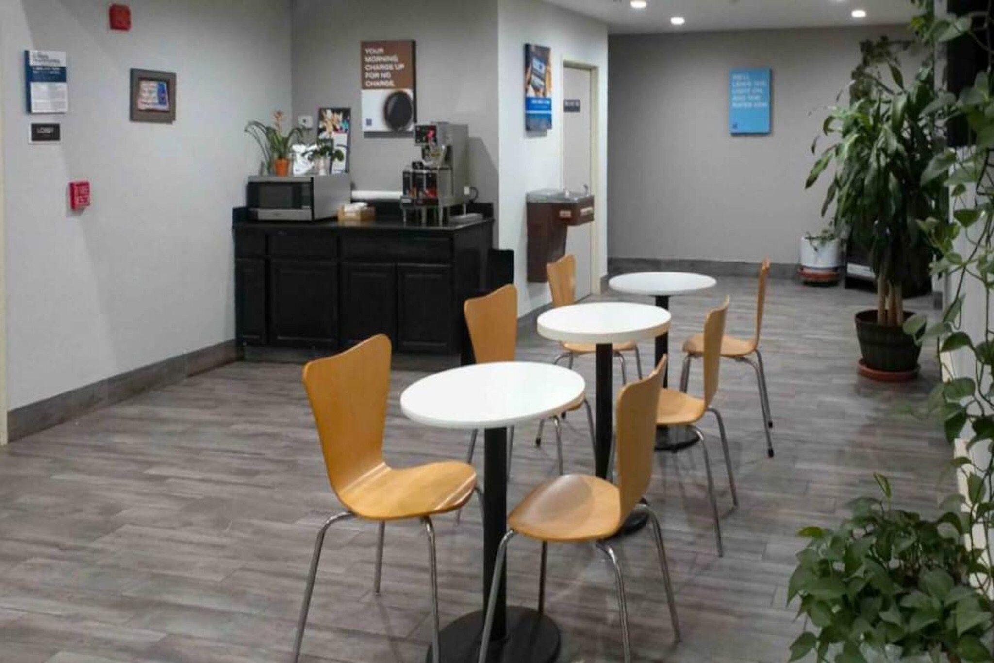 Ein Zimmer mit runden Tischen und Stühlen, einer Küchenzeile und Topfpflanzen.