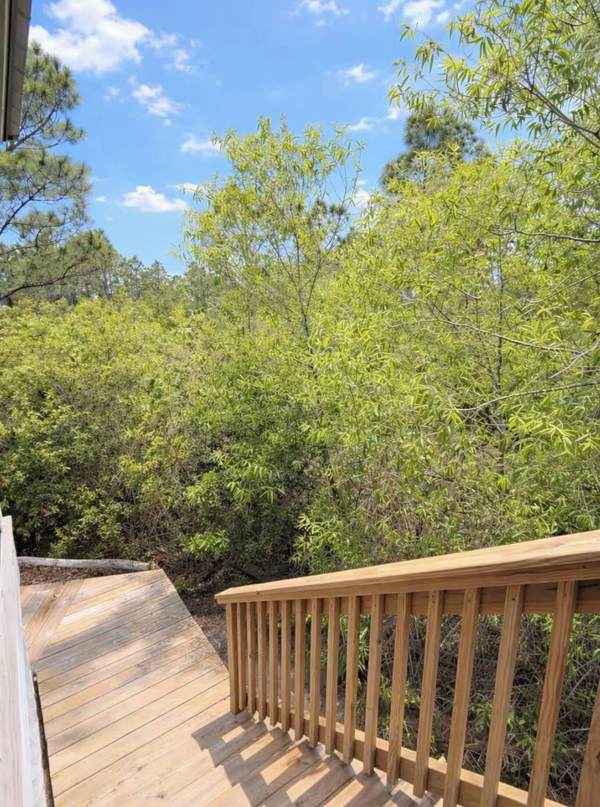 A wooden deck with a railing overlooking a dense, green forest.