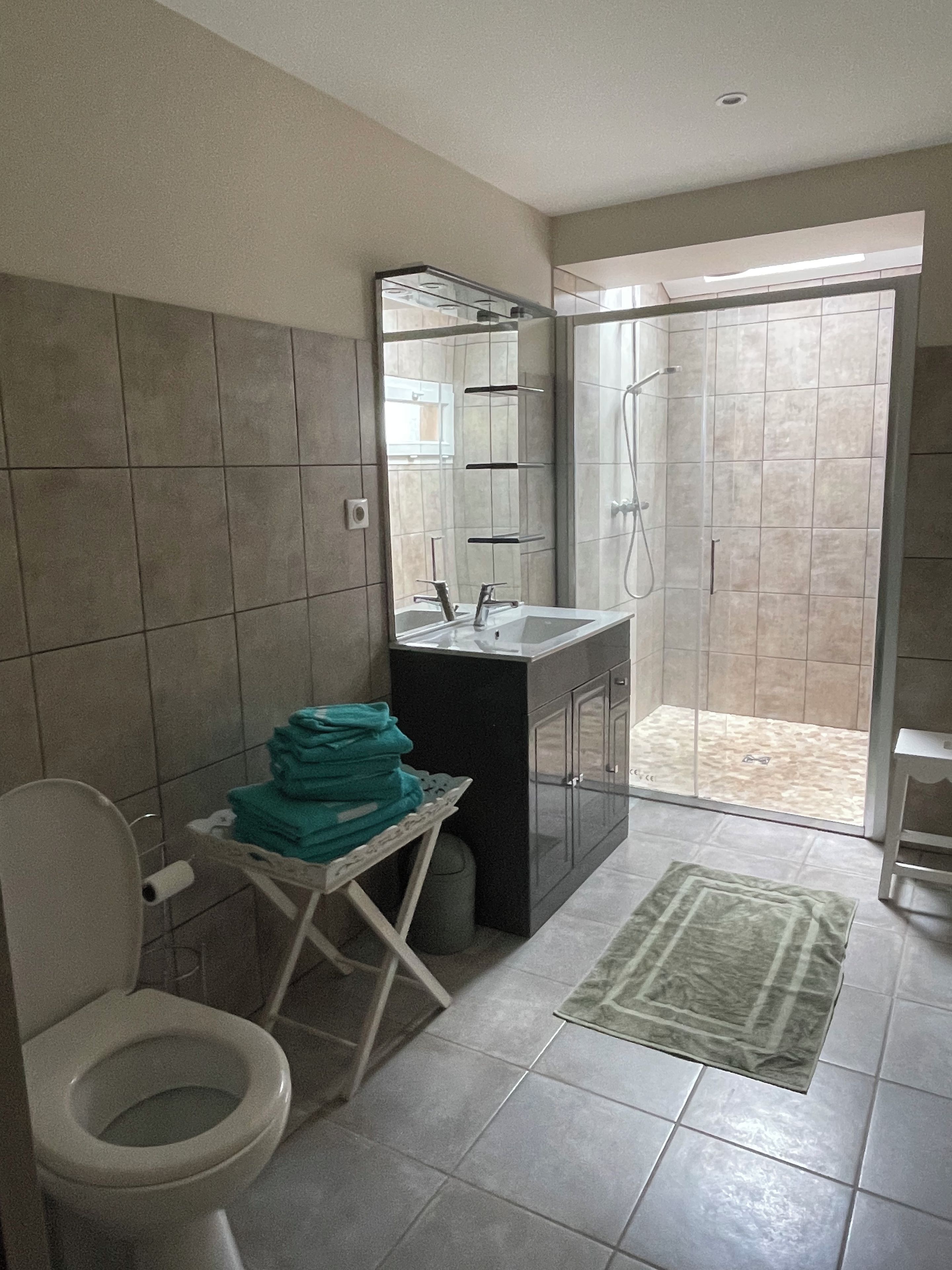 A bathroom with a toilet, sink, and shower area.