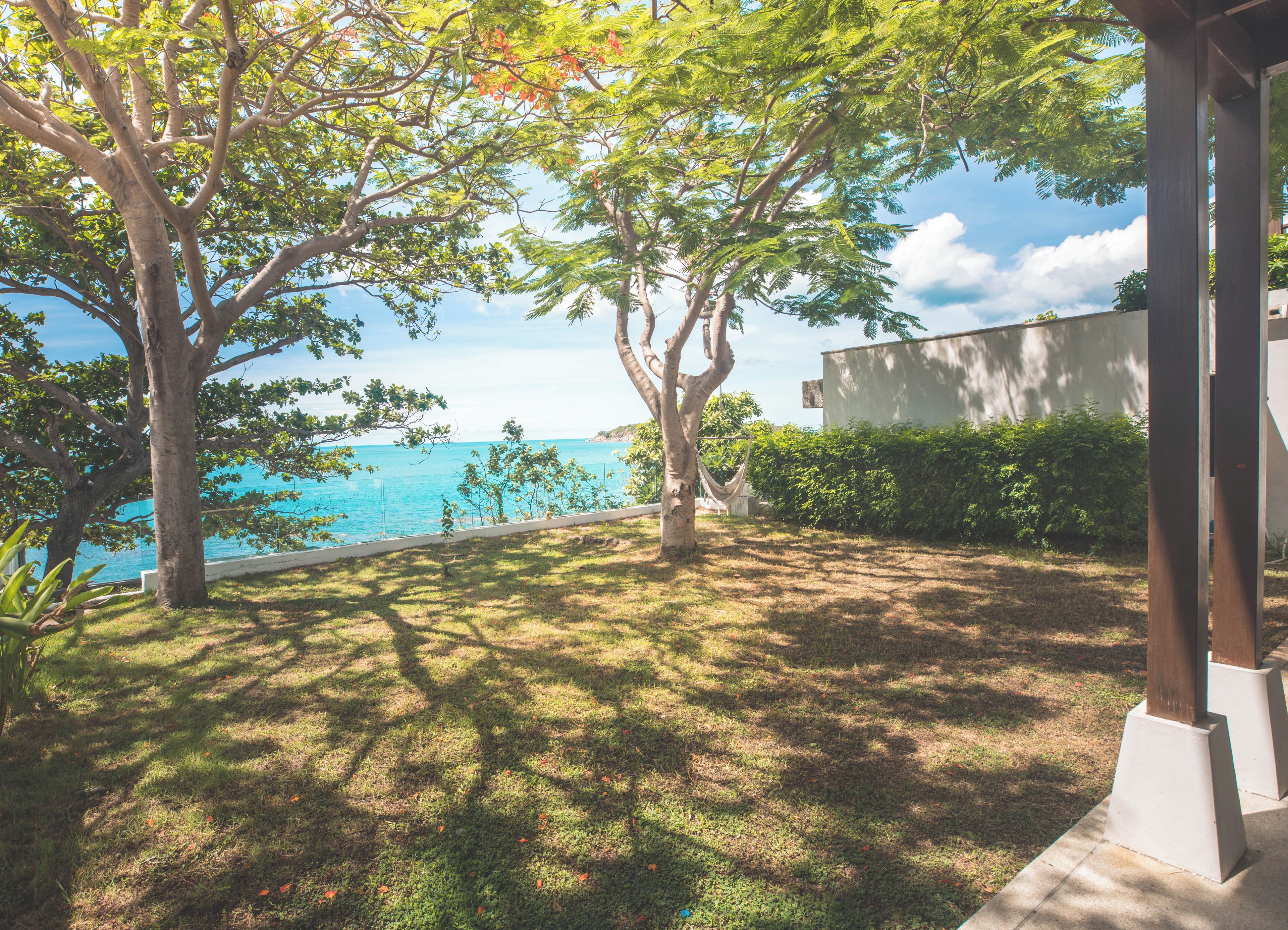 Ein Garten mit Bäumen und Blick auf das Meer.