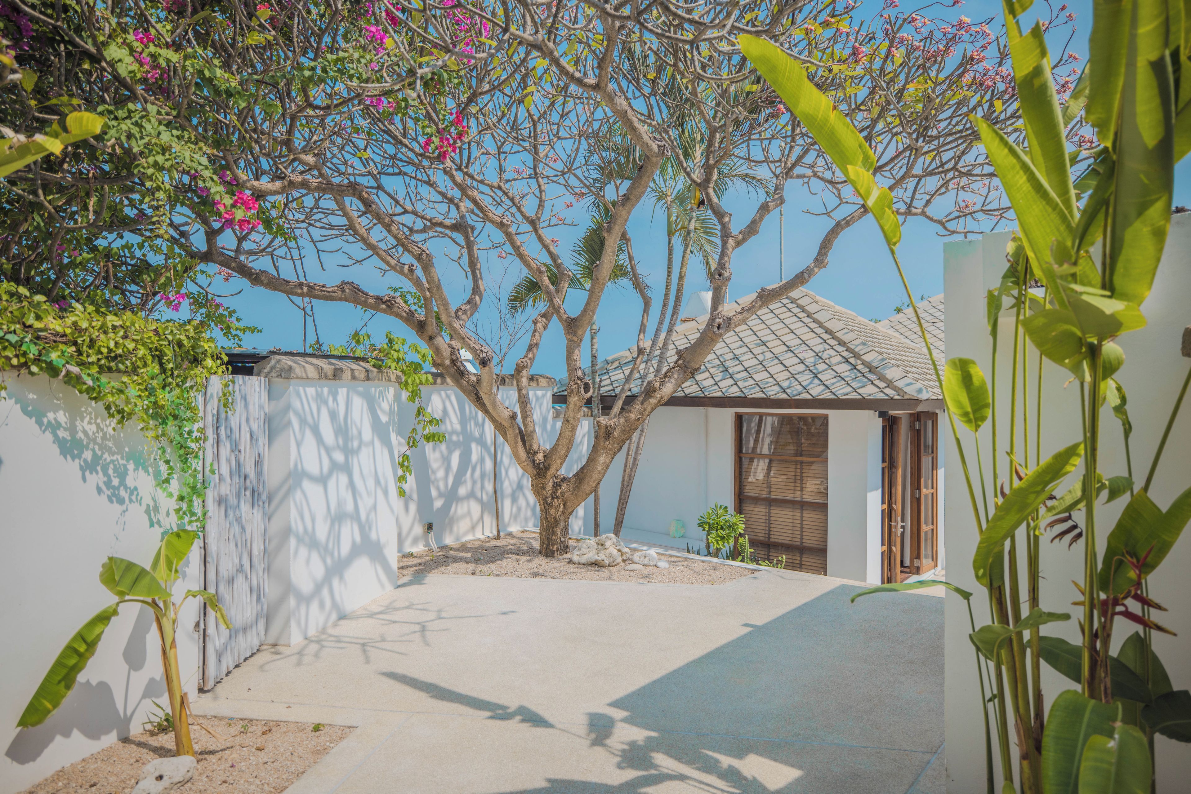 Un patio con un árbol, un edificio pequeño y un muro blanco.