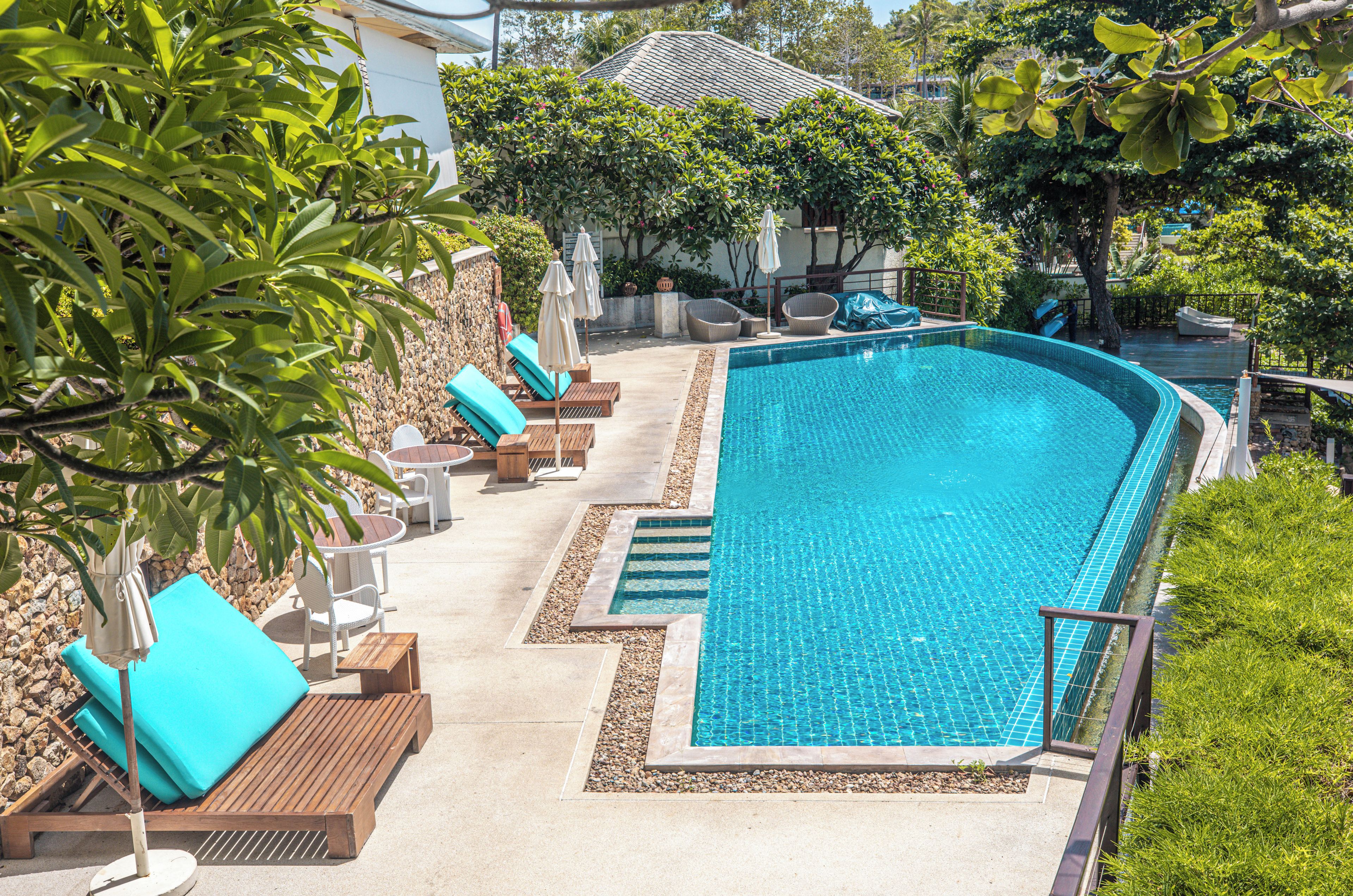 A swimming pool with lounge chairs and umbrellas, surrounded by greenery and a stone wall.