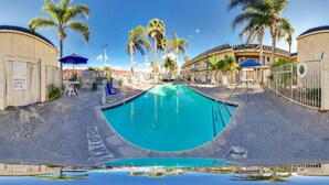 A swimming pool with a clear blue water, surrounded by palm trees and a building with a curved roof. - 2 Queen Beds | Non-Smoking (Riverside)
