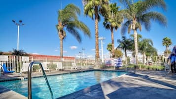 A swimming pool with a metal ladder, surrounded by palm trees and a fenced area with lounge chairs.