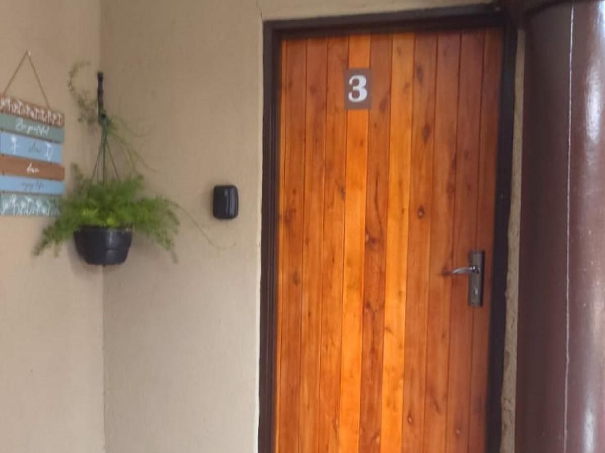 A wooden door with the number 3, a potted plant, and a wall-mounted light fixture.