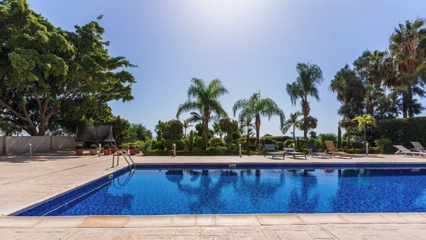 Ein Swimmingpool mit klarem, blauem Wasser, umgeben von Liegestühlen und Palmen.