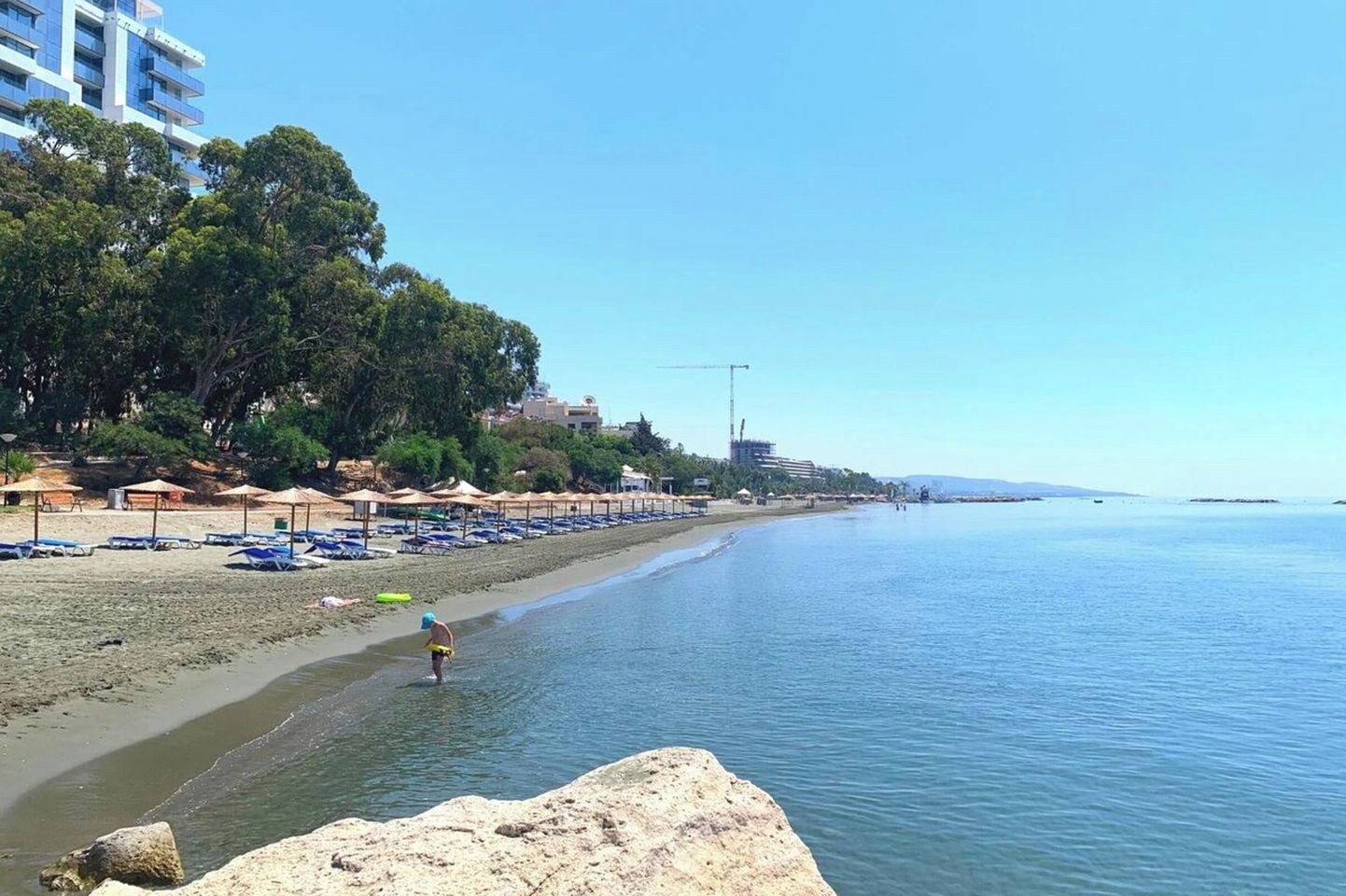 Una playa con sombrillas, sillas de descanso y cielo despejado.