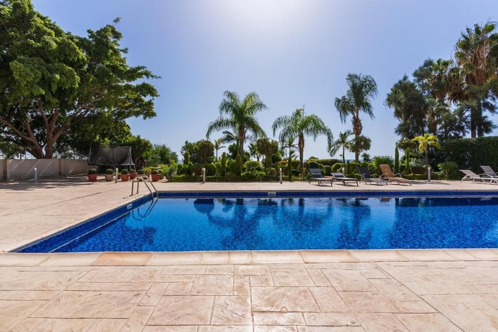 A swimming pool with tiled edges, surrounded by palm trees and lounge chairs.