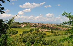 A rural landscape with a village, green fields, and scattered trees. - Beautiful apartment in Murlo with outdoor swimming pool (Murlo)