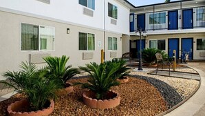 Un edificio moderno con múltiples ventanales y un jardín ajardinado con palmeras y caminos de grava.