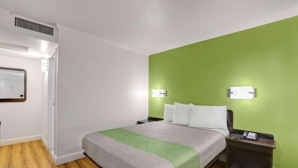 Habitación de hotel con cama, mesita de noche y una pared verde decorativa.