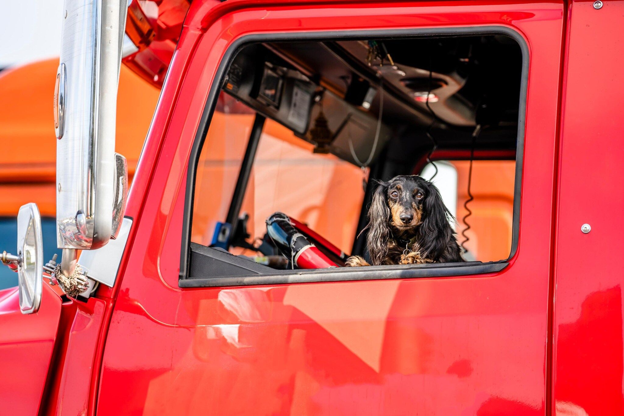 Een rode vrachtwagen met een hond die in het raam zit.