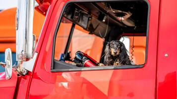 Een rode vrachtwagen met een hond die in het raam zit.