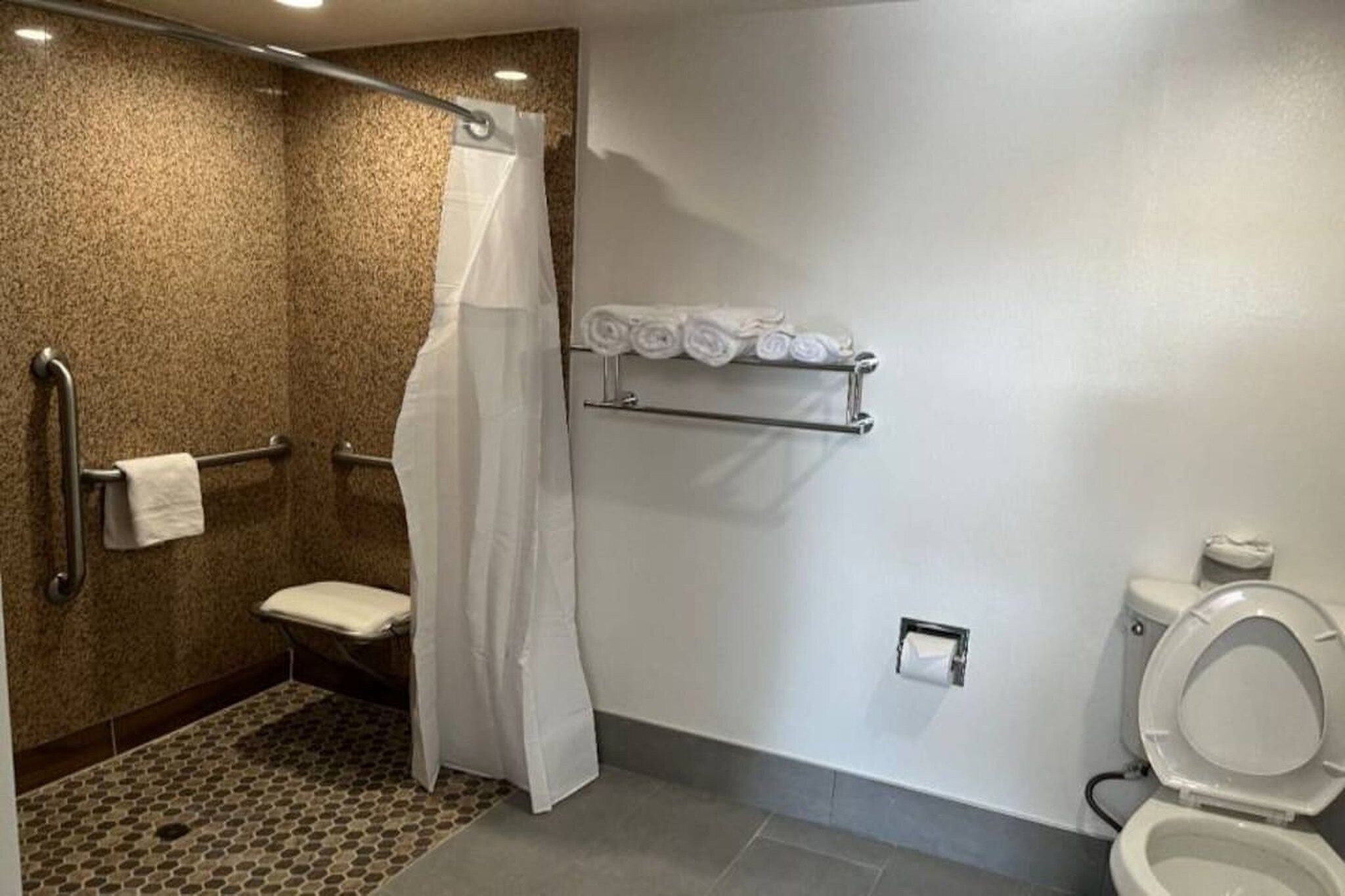A bathroom with a shower, toilet, and towel rack.