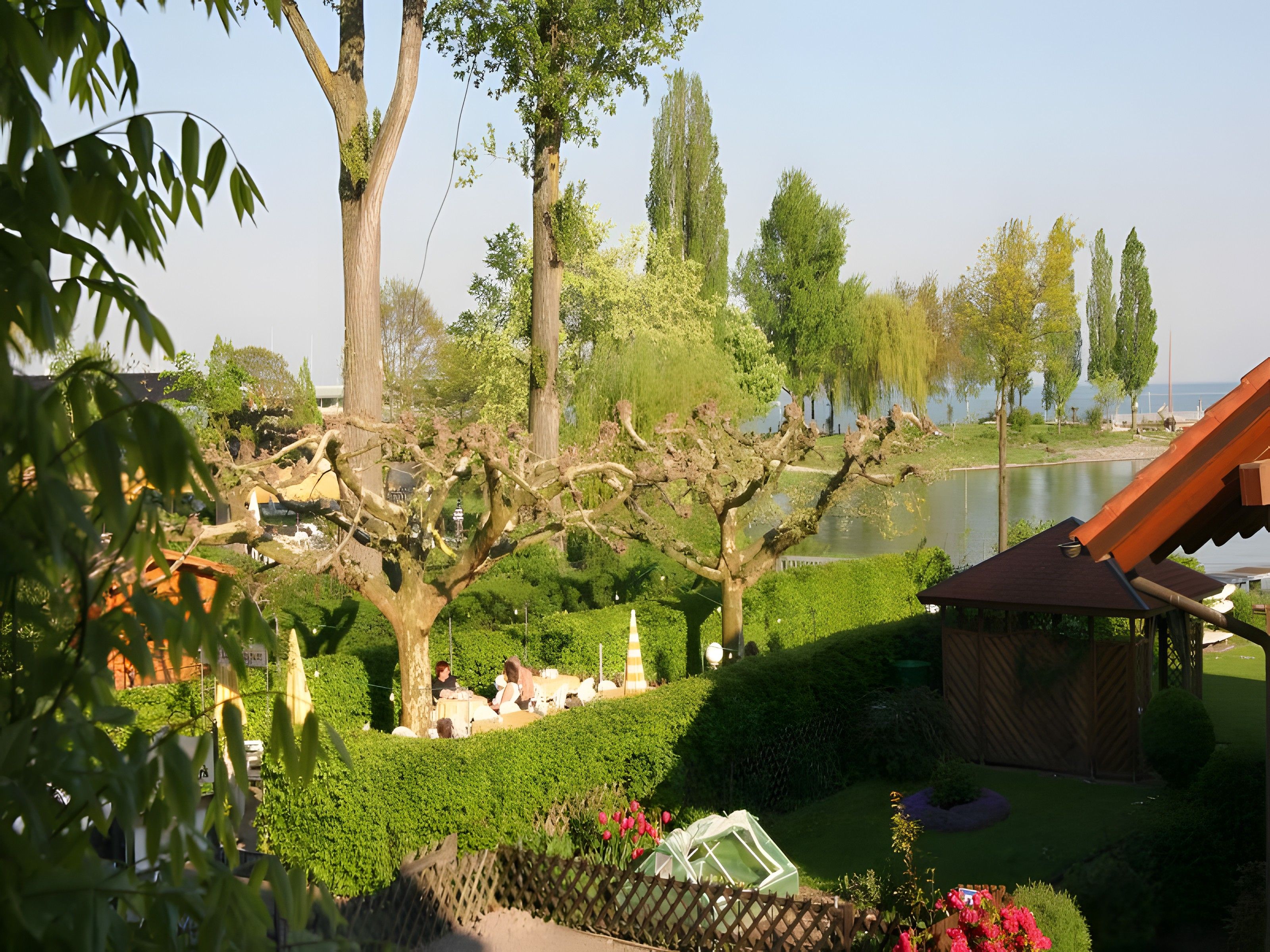 Ein ruhiger Essbereich im Freien mit Seeblick, umgeben von üppiger Vegetation und Bäumen.