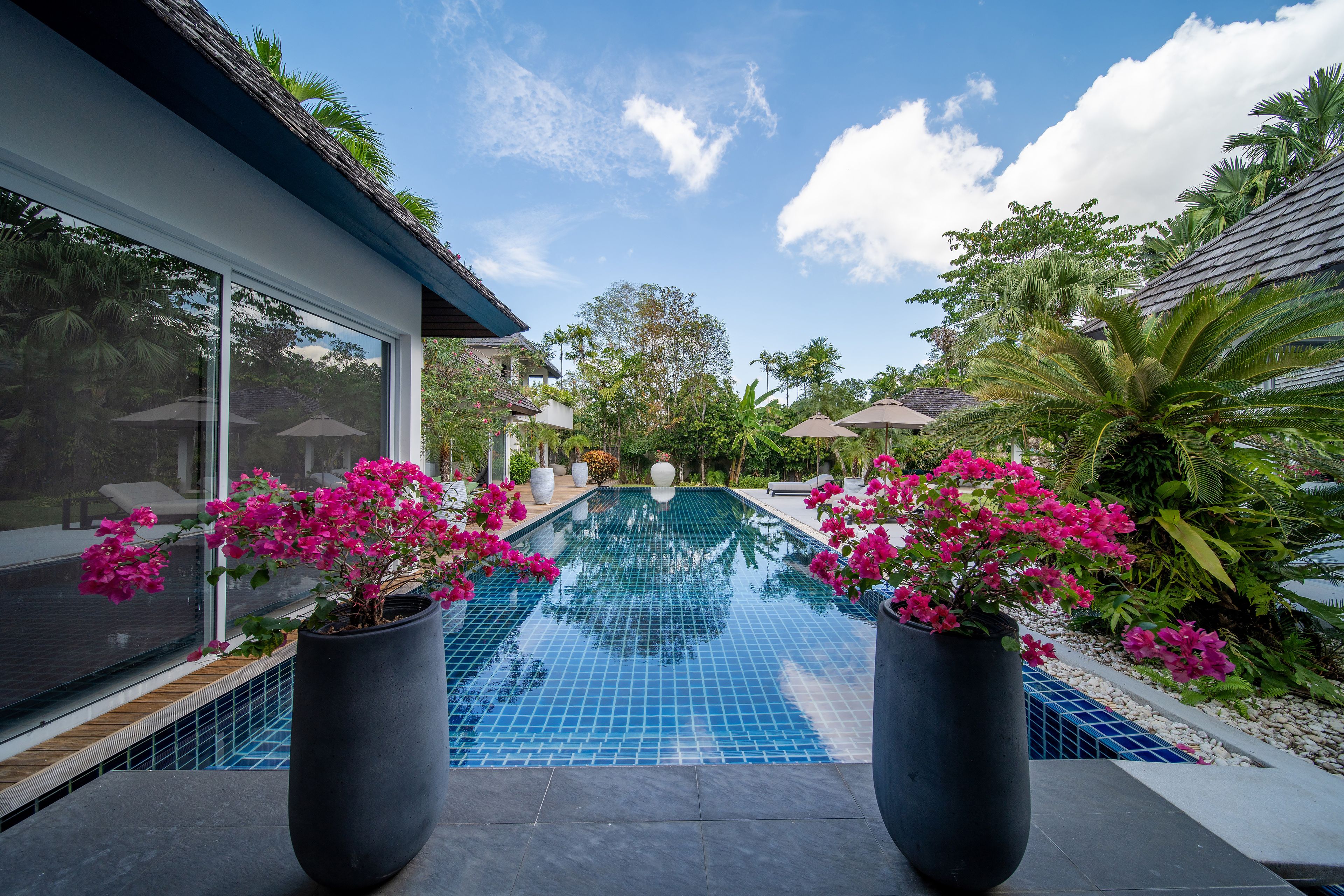 Una piscina con borde de azulejos, rodeada de plantas en macetas y mobiliario exterior.