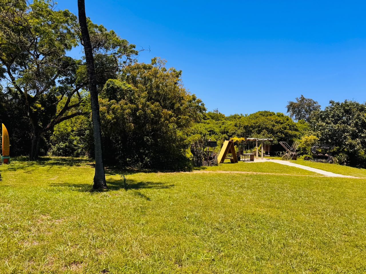 Une zone herbeuse avec des arbres et une structure en bois.