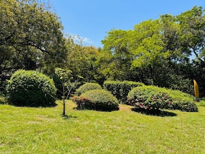 A well-maintained garden with various shaped bushes and a clear sky.