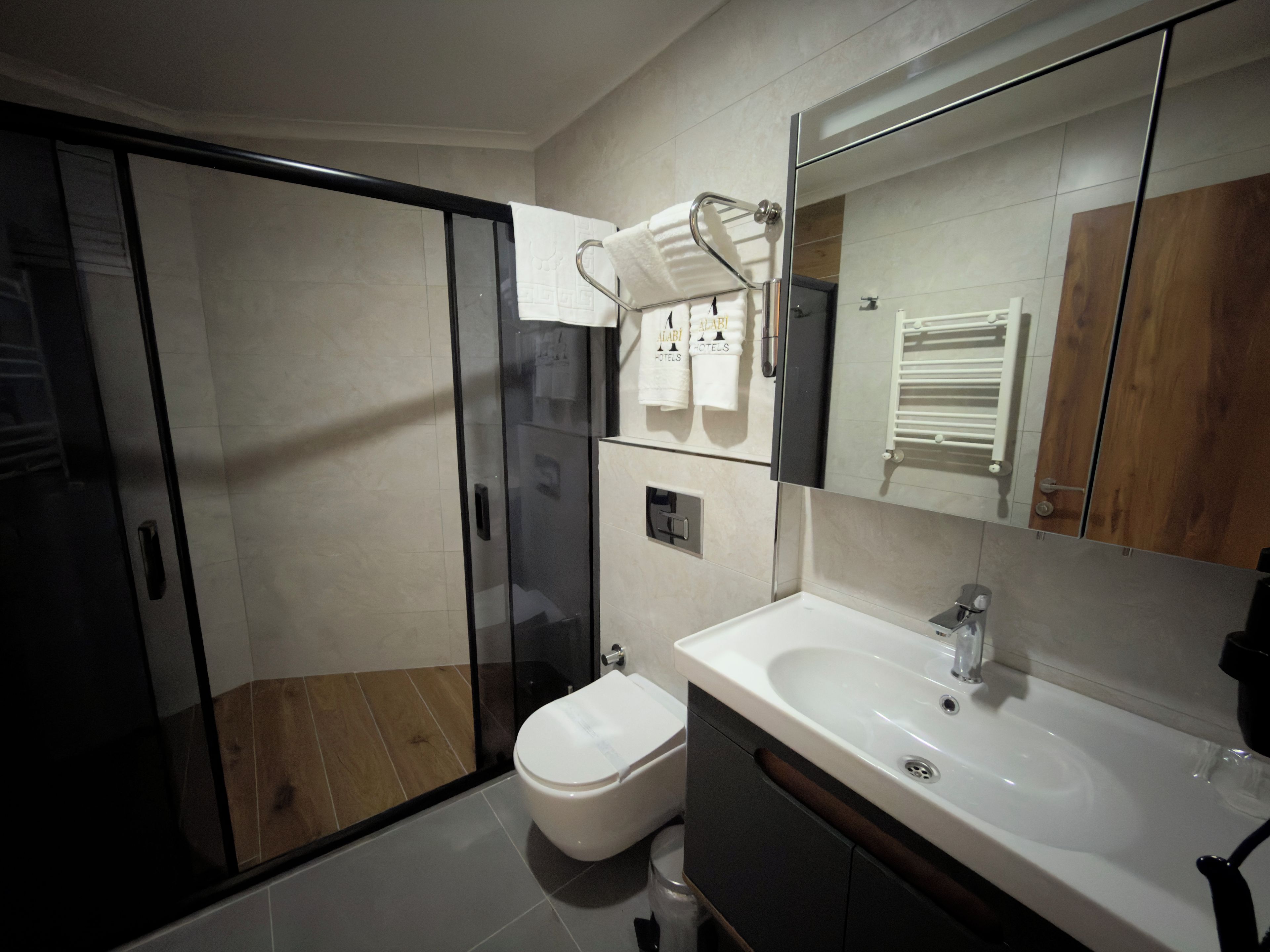 A modern bathroom with a glass shower enclosure, a white toilet, and a sink with a mirror above it.