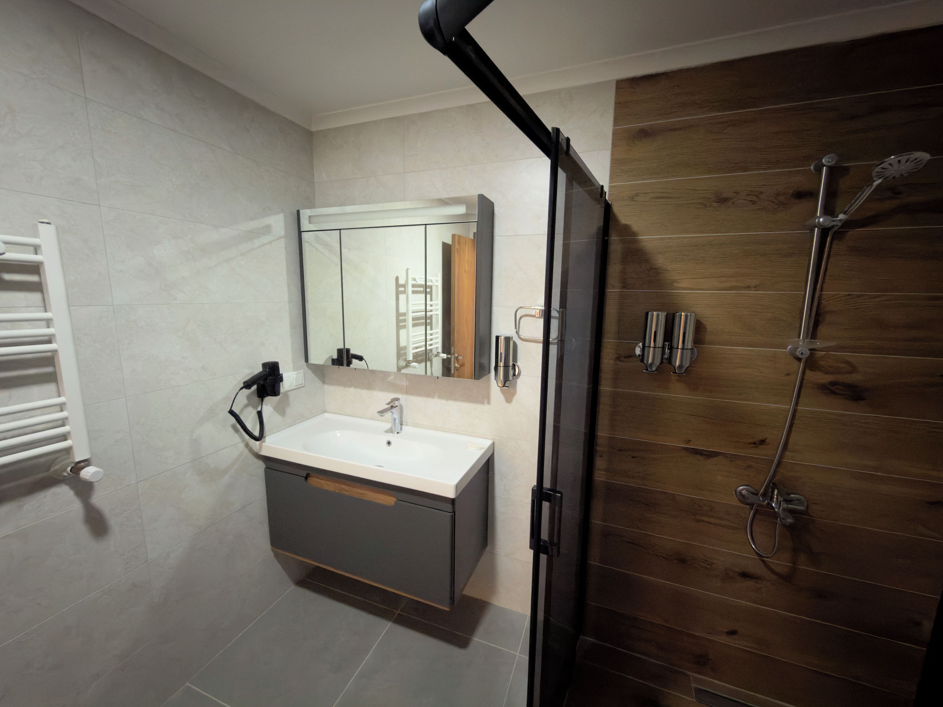 Deluxe Suite | Bathroom | Shower, free toiletries, hair dryer, towels