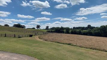 A fenced outdoor area with a grassy field and a dirt path.