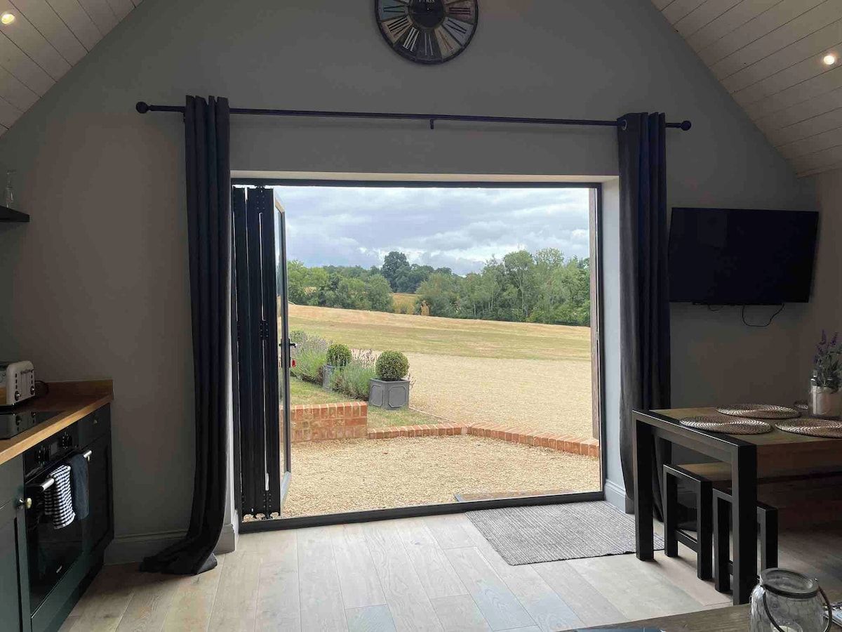 A room with a large sliding glass door leading to a grassy outdoor area, a dining table with chairs, and a flat-screen TV mounted on the wall.