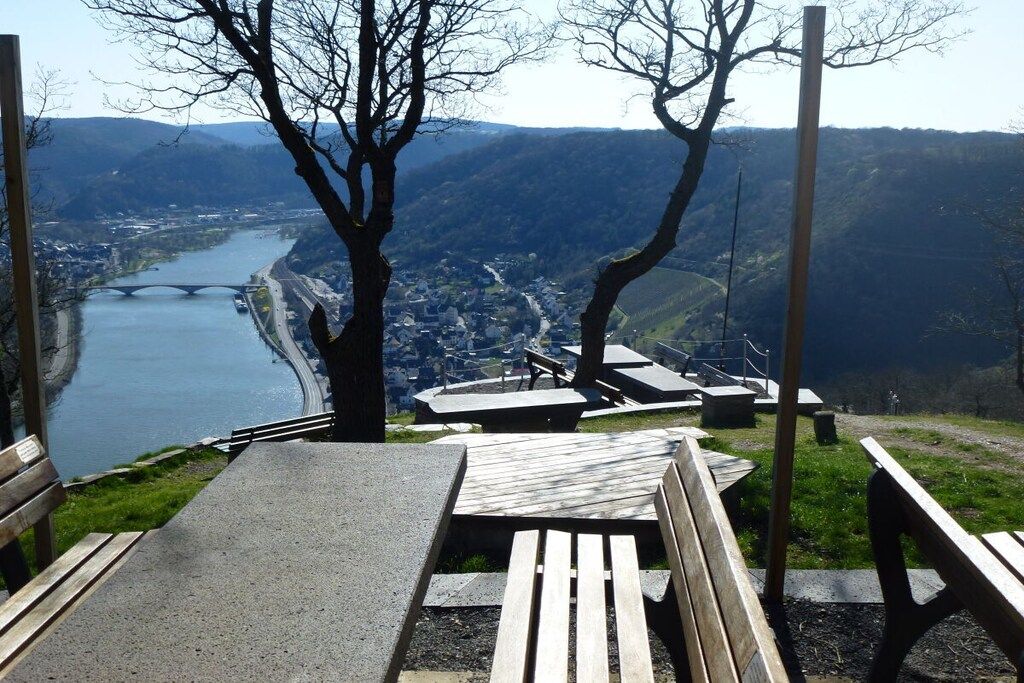 A bench overlooking a river with a bridge in the distance, surrounded by trees and picnic tables.
