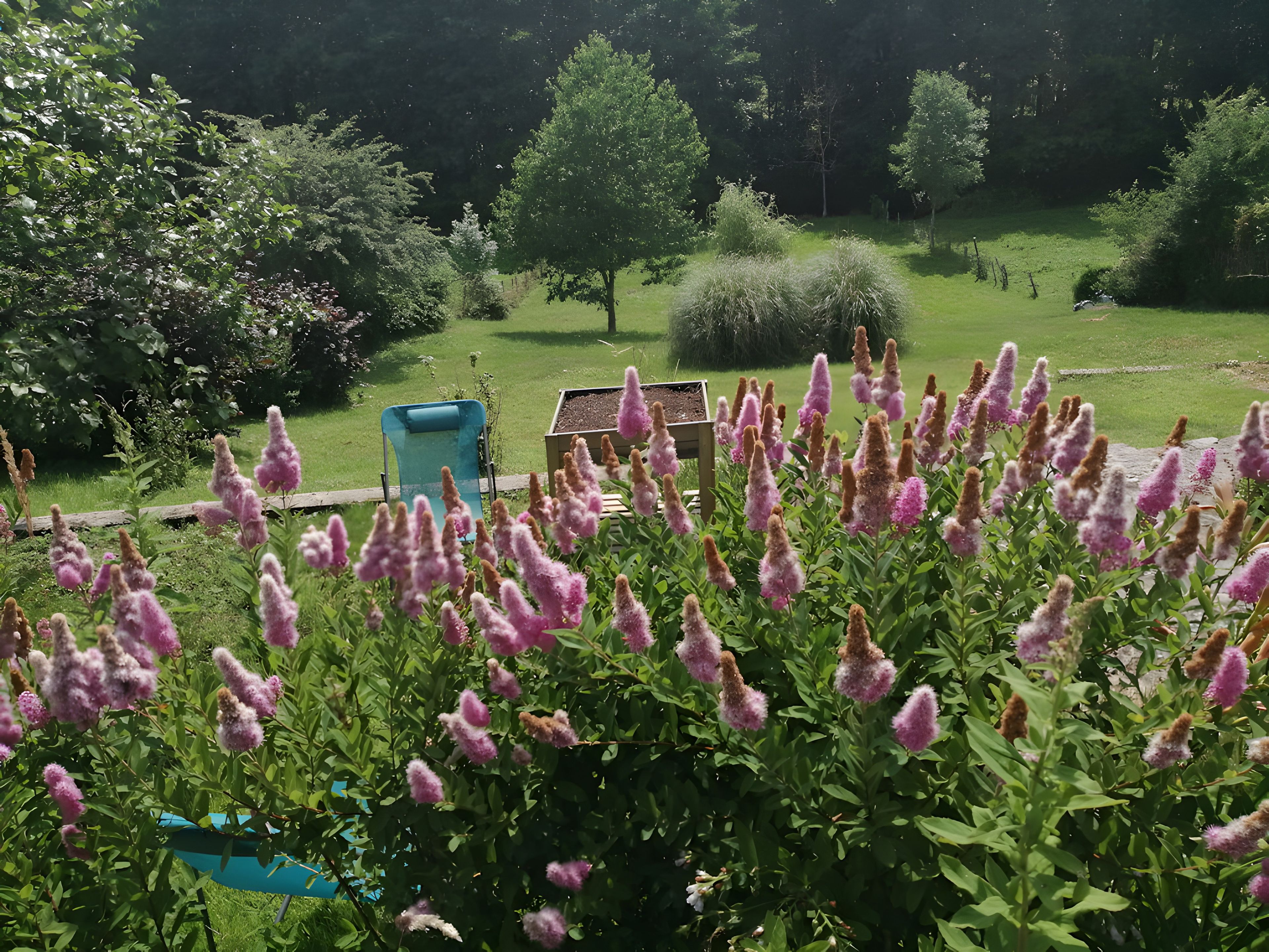 Ein Garten mit blühenden Pflanzen und einem blauen Stuhl.