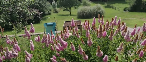 Ein Garten mit blühenden Pflanzen und einem blauen Stuhl.
