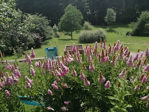 A garden with flowering plants and a blue chair.