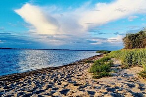 A beach with a sandy shore and a body of water. - Wismar cog starboard (Zierow)