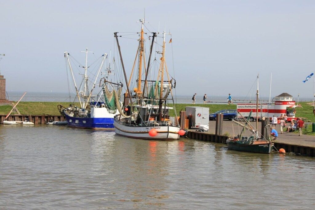 A harbor with fishing boats docked, a pier, and a grassy area with people.
