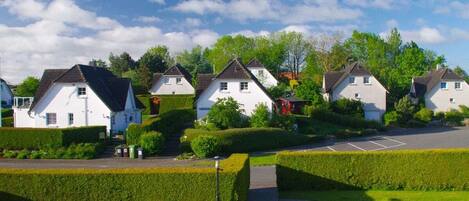 A residential area with white houses, a paved driveway, and well-maintained hedges.