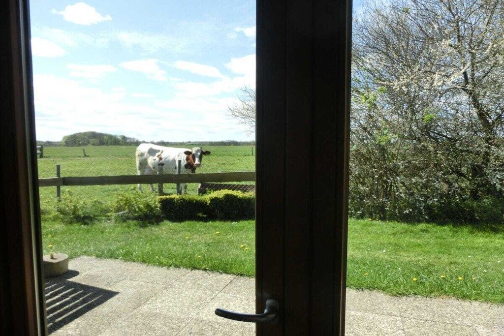 On aperçoit, à travers une porte, un champ verdoyant avec une vache au loin.