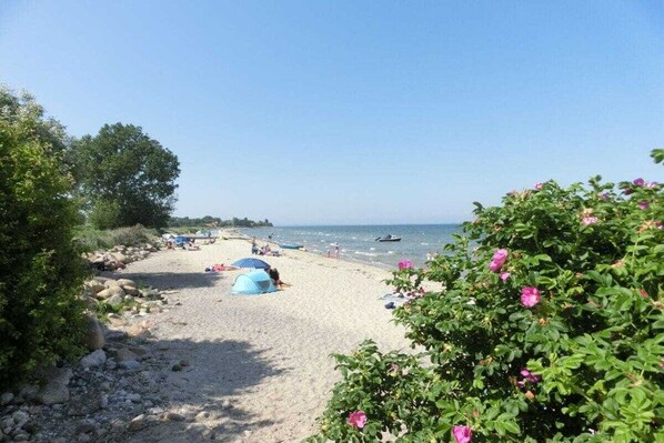 A beach with tents and people, trees, and a clear sky. - Struve 1 on the Kastanienhof (Quern)