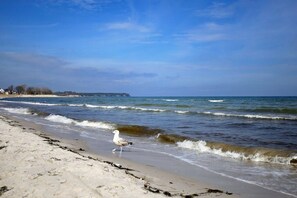 Ein Strand mit Wellen, einer Möwe und einer fernen Küstenlinie mit Gebäuden.