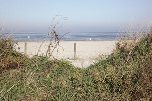 A beach with a sandy shore, a wooden fence, and grass in the foreground. - Holiday home with 2 bedrooms (Carolinensiel)