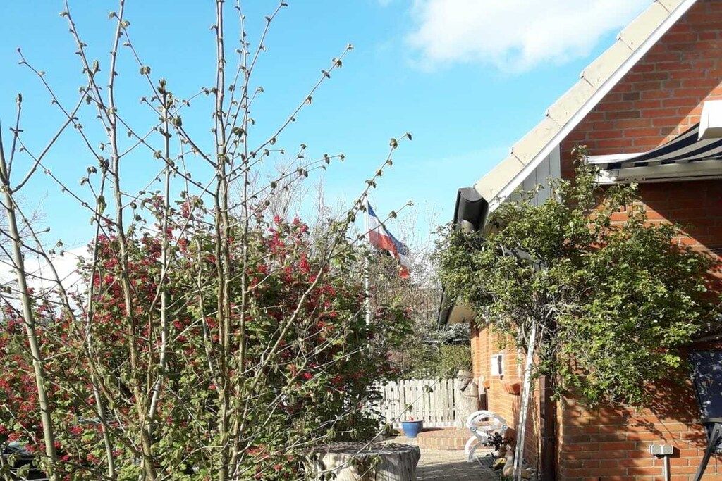 A residential area with a brick house, a flag, and a garden with trees and shrubs.