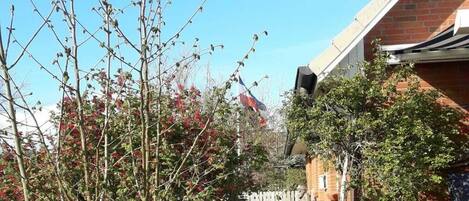 A residential area with a brick house, a flag, and a garden with trees and shrubs.
