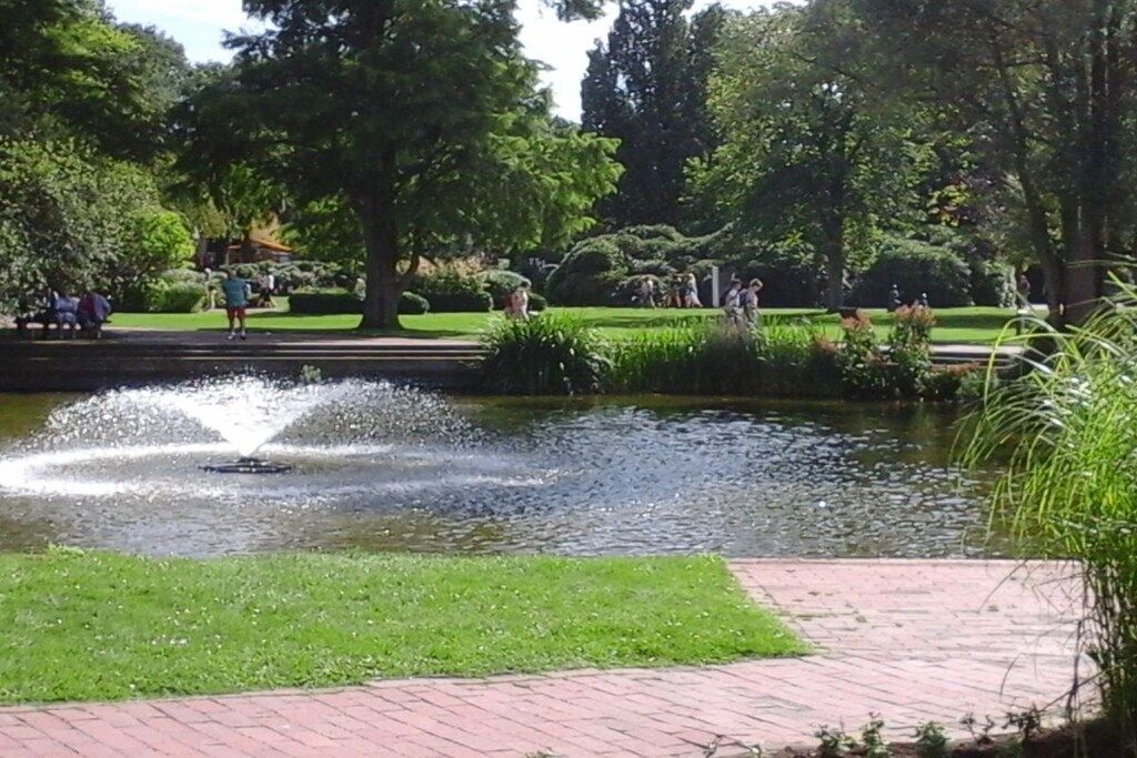 Un parque con una fuente, senderos y abundante vegetación.