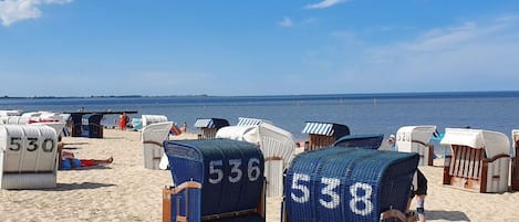 Beach chairs with numbers 536 and 538 on a sandy beach.