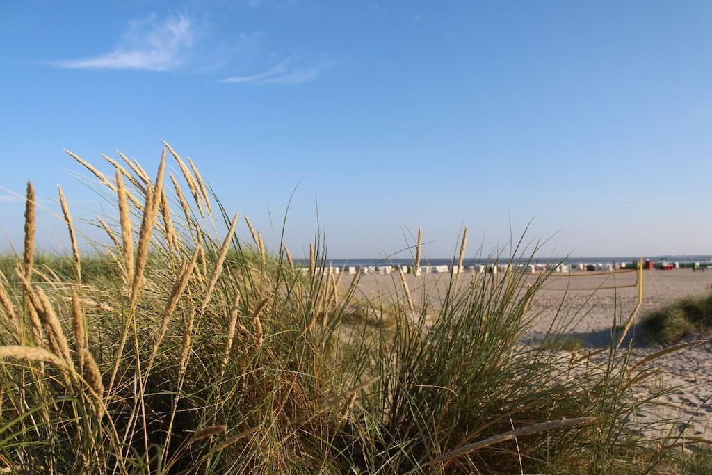 Une plage avec des dunes de sable et un ciel dégagé.
