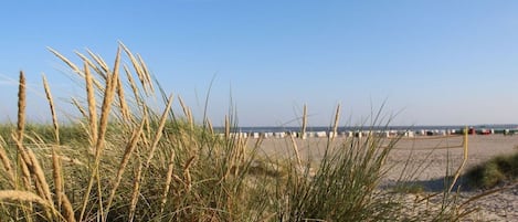 Una playa con dunas de arena y un cielo despejado.