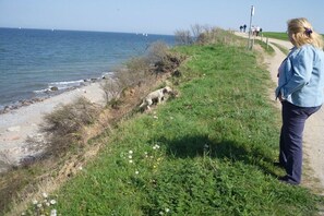A coastal path with a dog and a person. - Holiday apartment with 3 bedrooms (Lübeck)