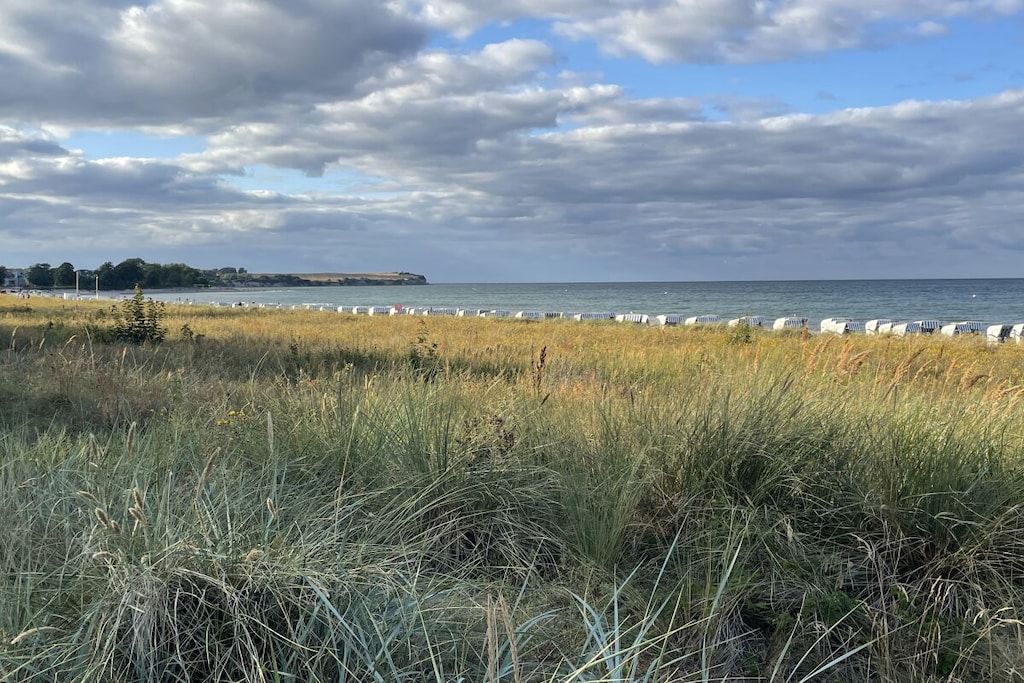 Un paysage côtier avec un premier plan herbeux, une étendue d’eau et un ciel nuageux.
