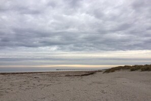 Una platja amb un llarg moll que s'endinsa a l'aigua, dunes sorrenques i un cel ennuvolat.